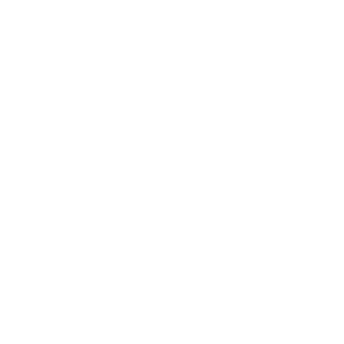 Markstride Logo white